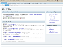Standard blog skin