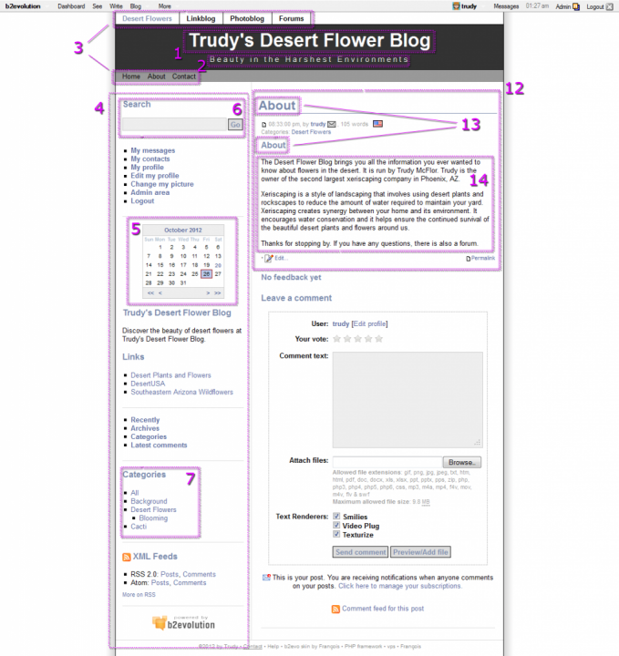 Blog Anatomy