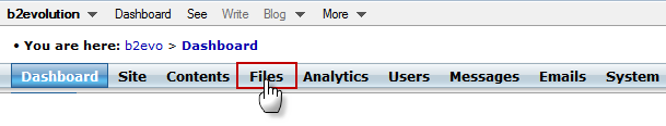 Accessing the File Manager