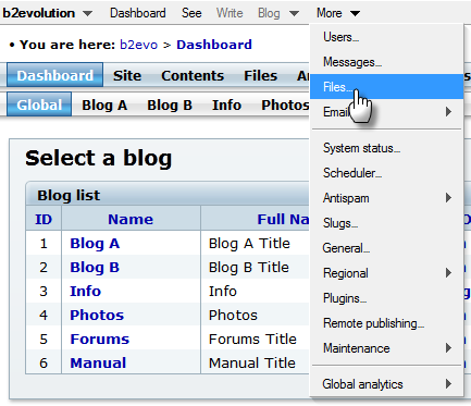 Accessing the File Manager