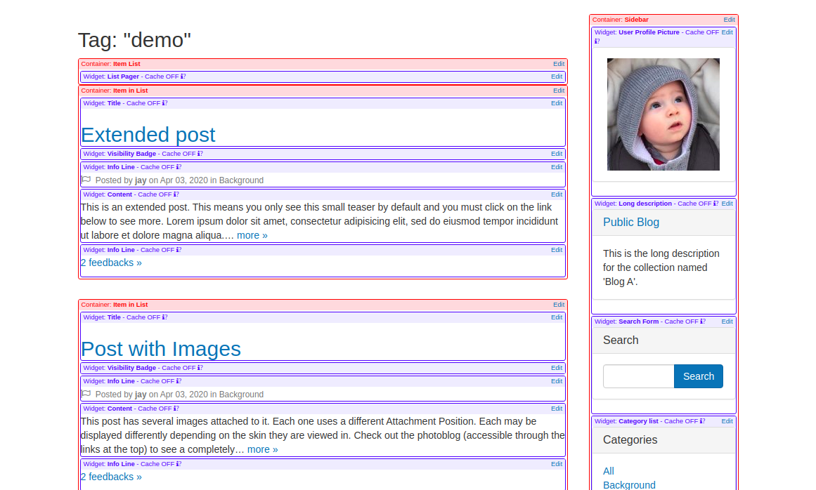 disp_detail = posts-tag
