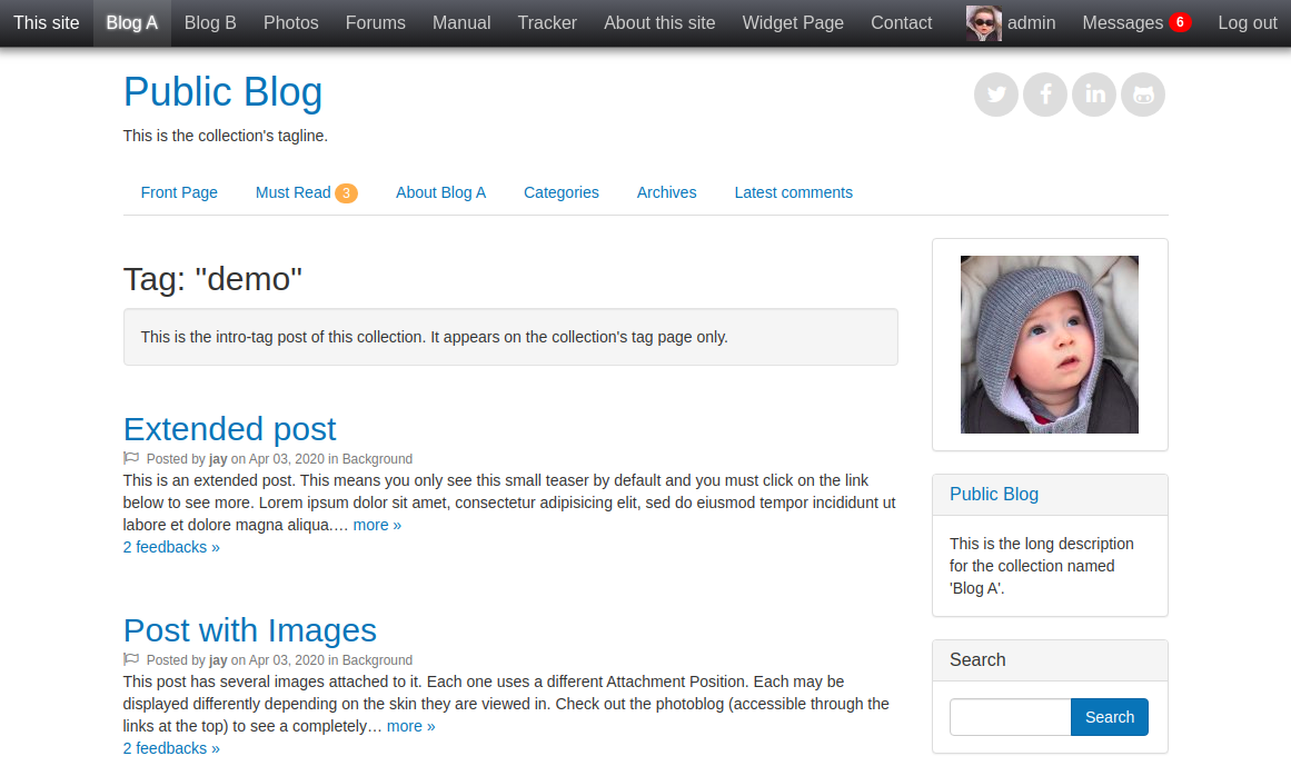 disp_detail = posts-tag