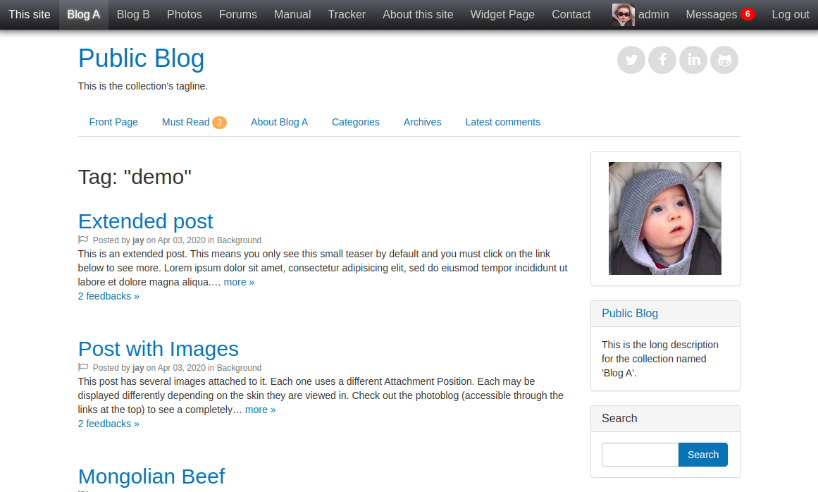 disp_detail = posts-tag