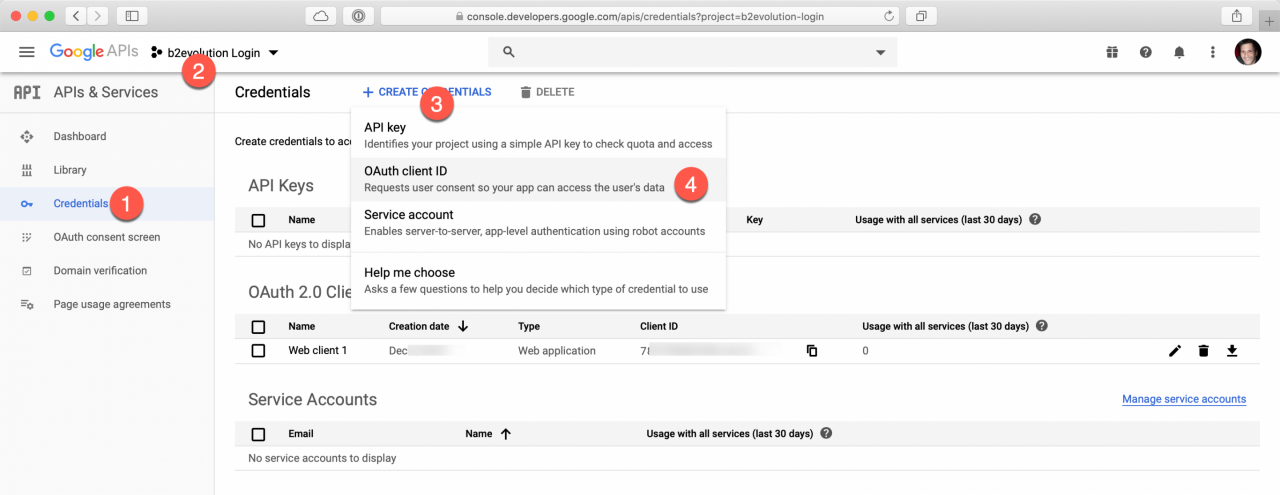 Getting a Google API key