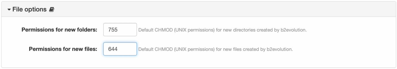 Step 4 : File options panel