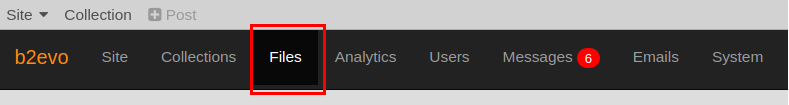 Accessing the File Manager