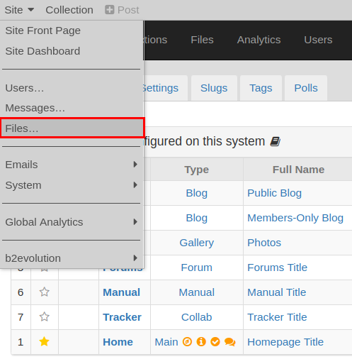 Accessing the File Manager