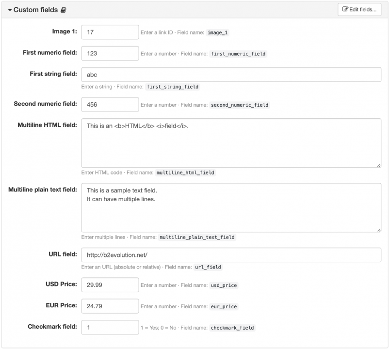 Item Custom Fields Panel