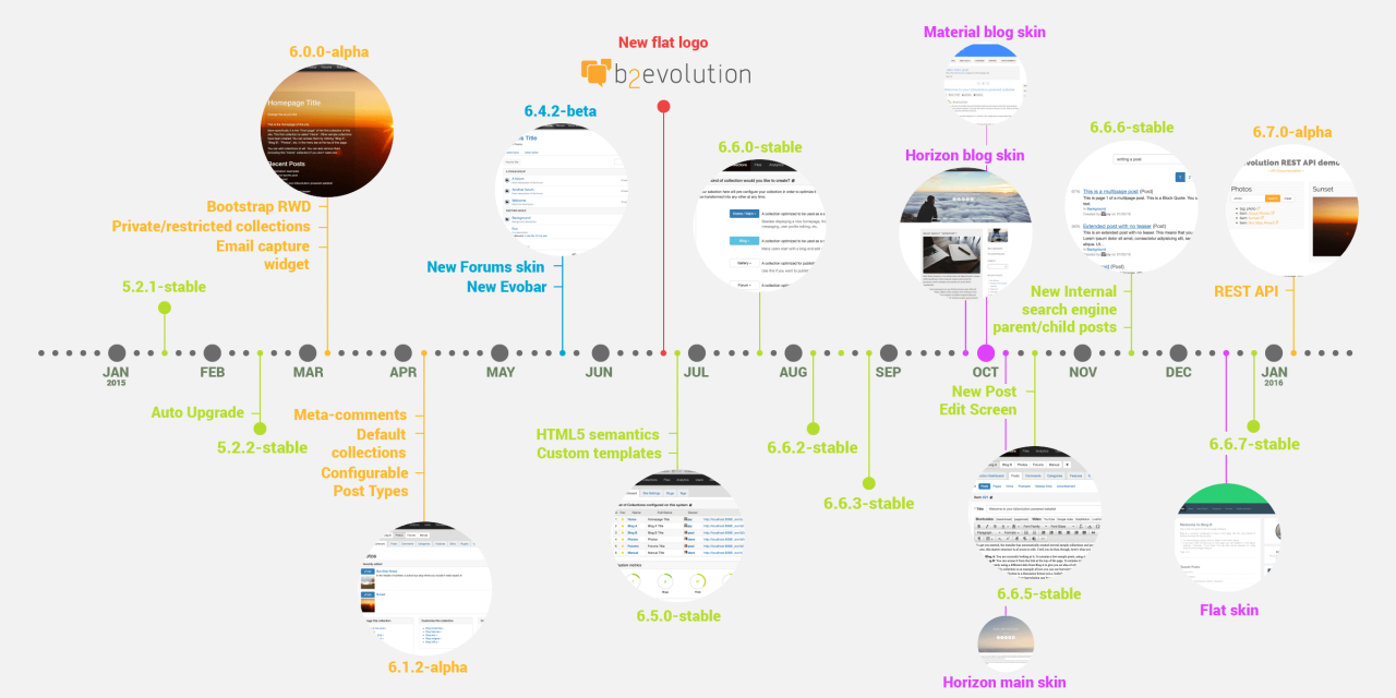 b2evolution's Year in Review