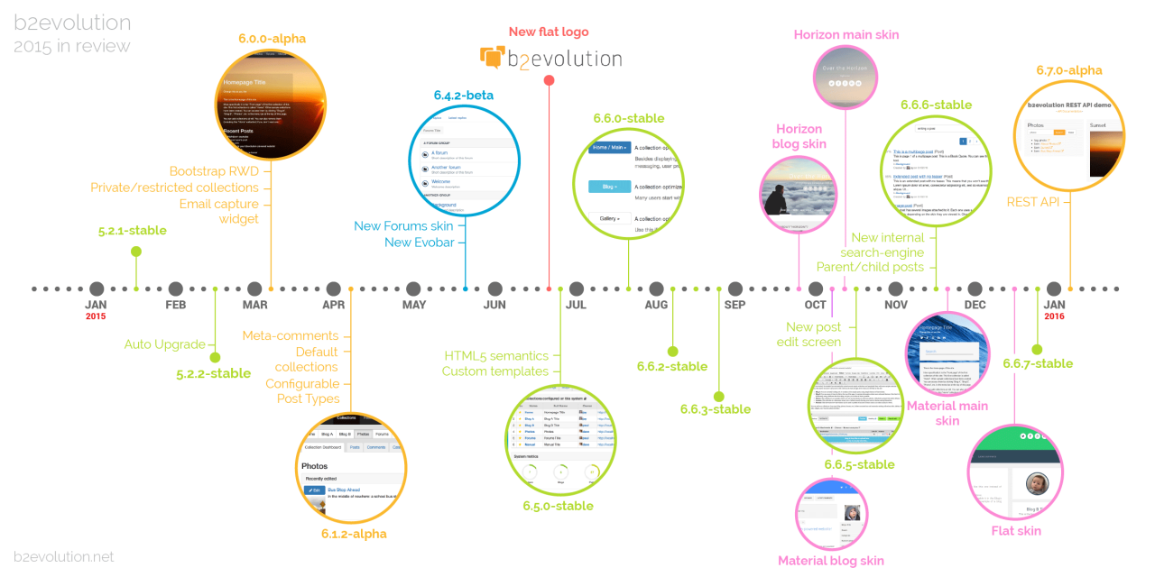 b2evolution's Year in Review