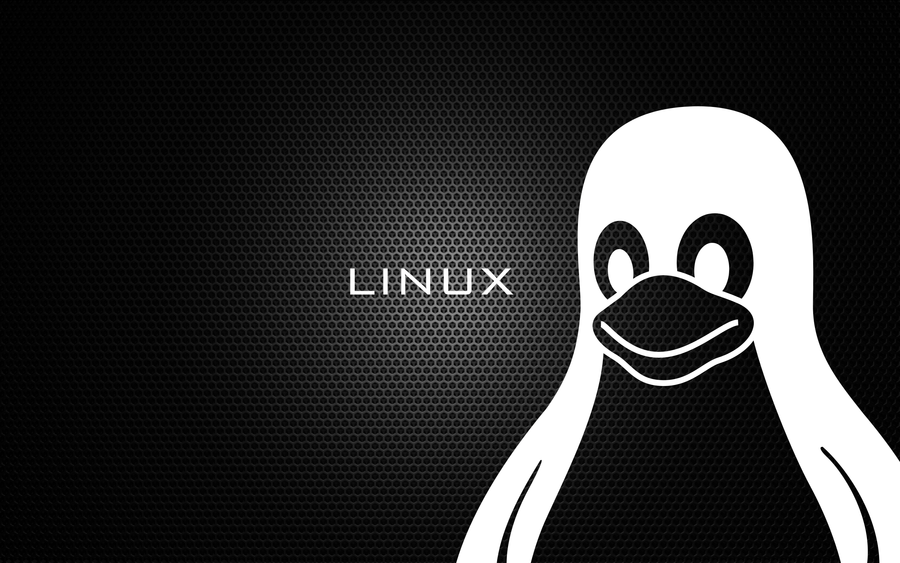What Linux distribution am I running?