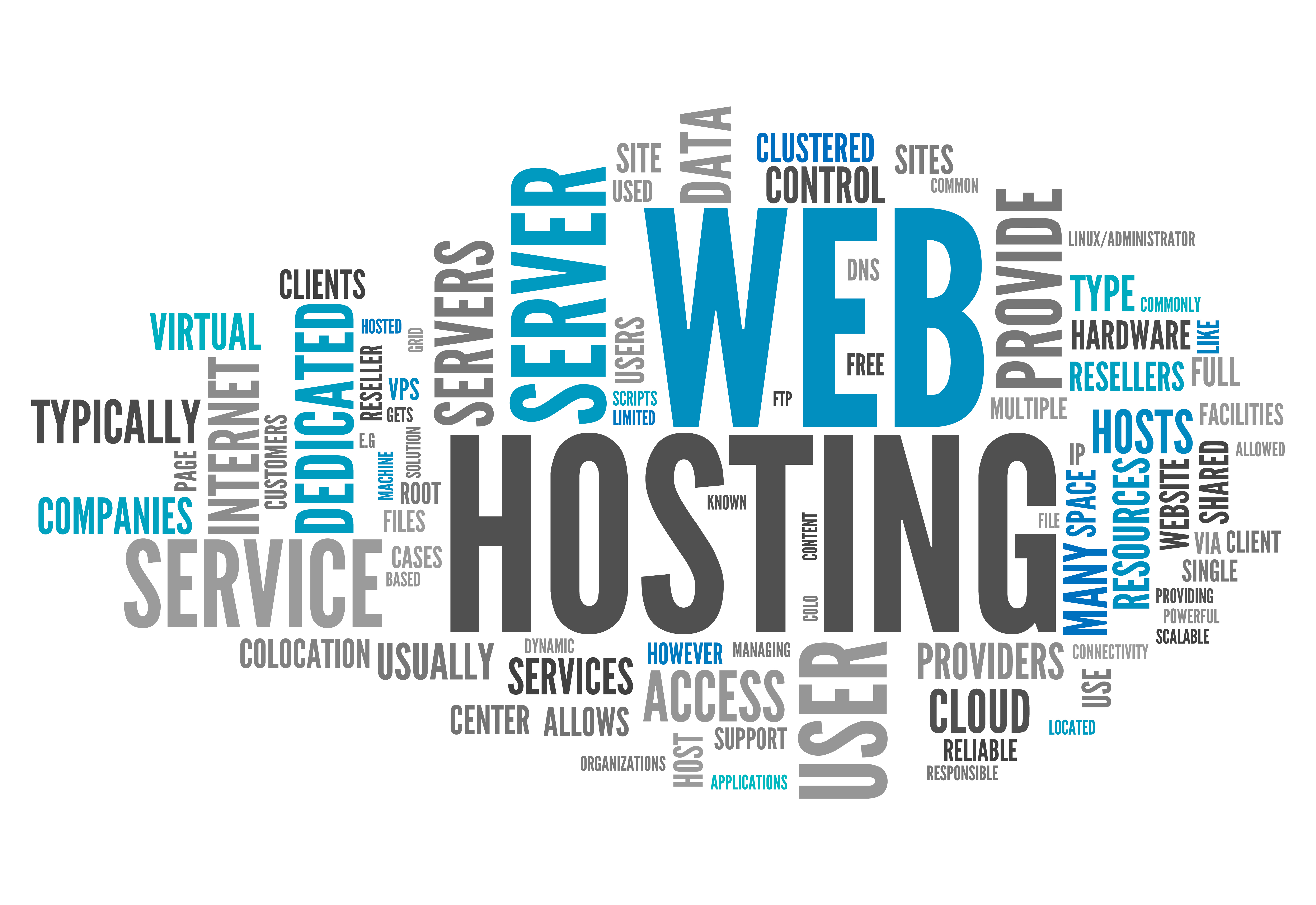 web hosting service provider in india